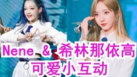 小犀牛救援